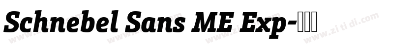 Schnebel Sans ME Exp字体转换